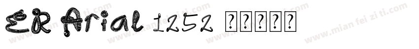 ER Arial 1252字体转换